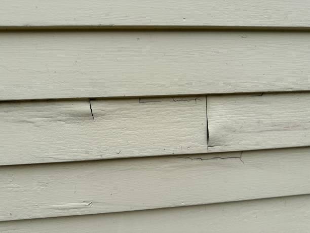 Best Vinyl Siding Installation  in Mogul, NV